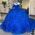 Off-Shoulder Royal Blue Quinceanera Dresses Ball Gown 2024 Classic Applique Lace Tull Sweet 16 Dress Vestidos 15 De