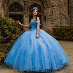 2024 Blue Quinceanera Dresses Princess 3D Florals Para Xv Princess Birthday Party Dress Ball Gown