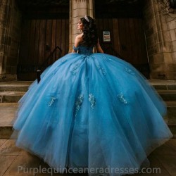 2024 Blue Quinceanera Dresses Princess 3D Florals Para Xv Princess Birthday Party Dress Ball Gown