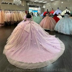 2024 Lilac Quinceanera Dress With Wraps Florals Flowers Lace Appliques Sweet 16 15 Dress Vestidos De XV Anos