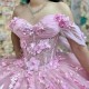 2024 Pink Quinceanera Dresses Floral 3D Flowers Appliques Beading Ball Gown Corset Sweet 16 Vestidos De XV Anos