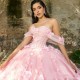 3D Flower Pink Sexy Sweetheart Quinceanera Dress Sweet Beading Appliques Tull 16 Year Old Girl Princess Birthday Party Ball Dress