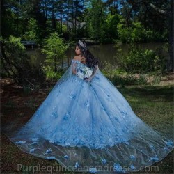 Detached Beading Sky Blue Princess Ball Gown Quinceanera Dresses With Cape 3D Applique Sweet 16 Dress Vestidos De 15 Anos