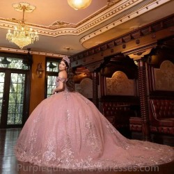 Blush Pink Quinceanera Dress Ball Gown 2024 Floral Lace Appliques Beading Sweet 16 15 Dress Vestidos De Fiesta