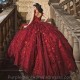 Burgundy Ball Gown Quinceanera Dress Floral 3D Flower Applique Sequins Beads Corset Sweet 16 Vestidos De XV Anos