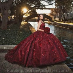 Burgundy Ball Gown Quinceanera Dress Floral 3D Flower Applique Sequins Beads Corset Sweet 16 Vestidos De XV Anos