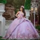 Elegant 3D Flower Purple Quinceanera Dresses 2024 Mexican V Neck Sweet 16 Dress Beading 15 Years Birthday Lace Party Ball Gown