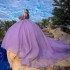 Long Sleeve Lilac Quinceanera Dresses Ball Gown Sequined Appliques Lace Corset Vestidos De 15 Anos