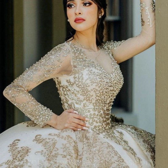 Long Sleeves Champagne Tulle Ball Gown Quinceanera Dresses Appliques Vestido De 15 Anos Sweet 16 Wear Custom Made