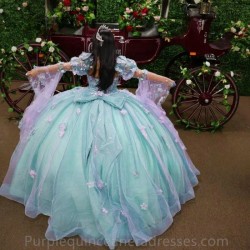 Long Sleeves Light Green Quinceanrea Dresses Pink Tulle 2023 Elegant Flowers Ball Gown Prom Dress Sweet 15 16 Princess