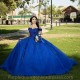 Luxury Royal Blue Ball Gown Party Dress 2024 Beading Sweetheart Tulle Quinceanera Dress Princess Sweet 16 Vestido De XV Anos