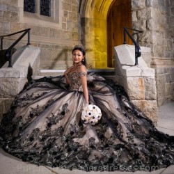 Meninas Black Princess Tulle Ball Gown Quinceanera Dresses De 15 Anos Appliques 3DFlower Ballkleid Vestidos De Debutante