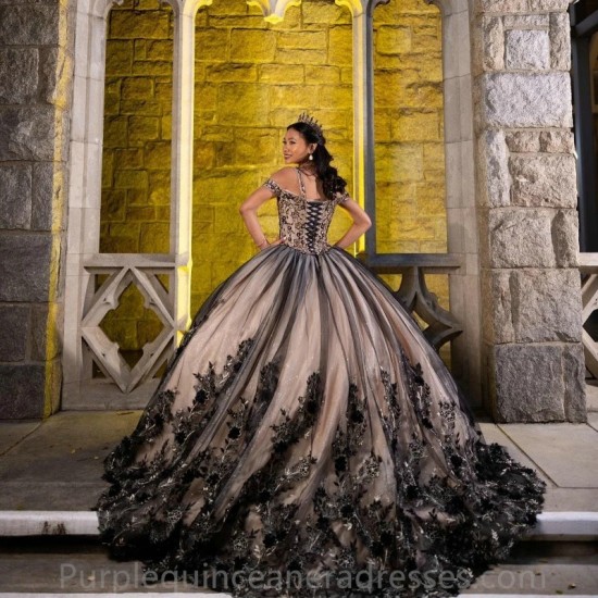 Meninas Black Princess Tulle Ball Gown Quinceanera Dresses De 15 Anos Appliques 3DFlower Ballkleid Vestidos De Debutante