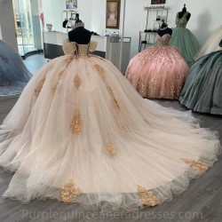 Off The Shoulder Champagne Beading Ball Gown Quinceanera Dresses Illusion 3D Flowers Appliques Lace Corset Vestidos De 15 Años