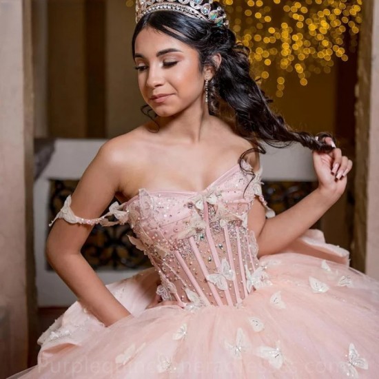 Off The Shoulder Pink 3D Butterfly Bow Ball Gown Quinceanera Dresses Illusion Crystal Beading Corset Vestidos De 15 Años