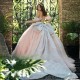 Off The Shoulder Pink Butterflies Blue Quinceanera Dresses Ball Gown Birthday Dress Graduation Gown With Bow quinceanera de 15