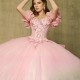 Princess Pink Quinceanera Dresses Ball Gown Sweet 16 Dress Beads Flowers Appliques Crystals Birthday 15th Party Gown