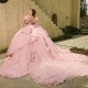 Princess Pink Quinceanera Dresses Ball Gown Sweet 16 Dress Beads Flowers Appliques Crystals Birthday 15th Party Gown