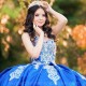 Spaghetti Strap Royal Blue Satin Quinceanera Dresses Ball Gown Applique Lace Birthday Party Dress Lace-up Vestidos De 15 Años