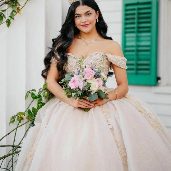 Sweetheart Princess Prom Party Dresses Champagne Quinceanera Dress 3D Flowers Lace Beads Ball Gown Sweet 15 16 Dress