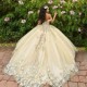 Sweetheart Champagne Quinceanera Dresses 2024 Lace Applique Tulle Ball Gown Birthday Party Sweet 16 Vestidos De 15 Anos Gala Miss