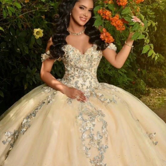 Sweetheart Champagne Quinceanera Dresses 2024 Lace Applique Tulle Ball Gown Birthday Party Sweet 16 Vestidos De 15 Anos Gala Miss