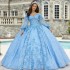 V-Neck Sky Blue Quinceanera Dress Appliques Handmade Flower Beads Ball Gowns Vestidos De 15 Años