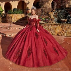 Glitter Burgundy Quinceanera Dress Lace Applique Feather Beading Detachable Sleeve Sweet 16 Vestidos De 15 Anos