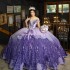 Luxury Shiny Purple Quinceanera Dress Appliques Beads Mexican Sweet 16 Princess Ball Gown Vestido De 15 Quinceaneras