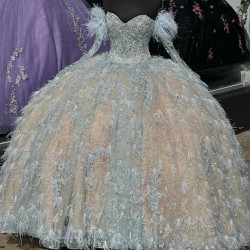 Off Shoulder Sweetheart Quinceanera Dress Princess Prom Ball Gown Sweet 16 XV Years Old Long Sleeved Feather Birthday Mexican