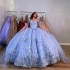 Off The Shoulder Blue Ball Gown Quinceanera Dress 3D Flowers Appliques Beading Corset Vestidos Para XV Anos