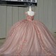 Off The Shoulder Pink Illusion Crystal Beading Quincenara Dresses Ball Gown 3D Flowers Appliques Sweet 15 Vestidos De XV Anos