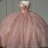 Off The Shoulder Pink Illusion Crystal Beading Quincenara Dresses Ball Gown 3D Flowers Appliques Sweet 15 Vestidos De XV Anos