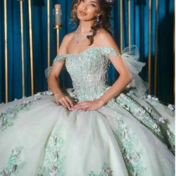 Off The Shoulder Sage Green Quincenara Dresses Ball Gown Illusion 3D Flowers Appliques Lace Sweet 15 Vestidos De XV Anos