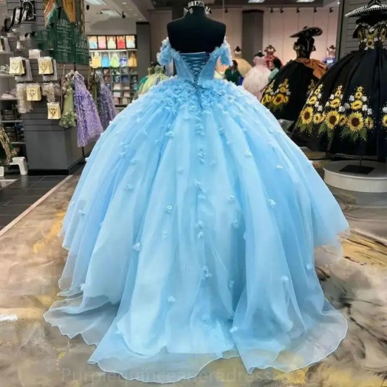 Princess Blue Quinceanera Dress Ball Gown Flowers Appliques Beading Corset Sweet 16 Dress Vestido