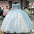 Princess Blue Quinceanera Dress Ball Gown Flowers Appliques Beading Corset Sweet 16 Dress Vestido