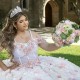 Princess Pink Ball Gown Quinceanera Dress 2024 Flowers Appliques Beads Sweet 16 Dress Corset Vestidos