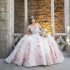 Princess Pink Ball Gown Quinceanera Dress 2024 Flowers Appliques Beads Sweet 16 Dress Corset Vestidos