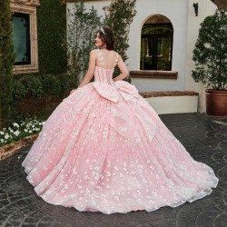 Spaghetti Strap Pink Quinceanera Dress Ball Gown 3D Butterfly Lace Lace up With Bow Women Birthday for Luxury 2024