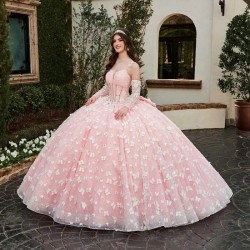 Spaghetti Strap Pink Quinceanera Dress Ball Gown 3D Butterfly Lace Lace up With Bow Women Birthday for Luxury 2024