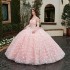 Spaghetti Strap Pink Quinceanera Dress Ball Gown 3D Butterfly Lace Lace up With Bow Women Birthday for Luxury 2024