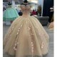 Sweetheart Quinceanera Dresses Appliques Ball Gown Sweet 16 Dress Formal Prom Dress