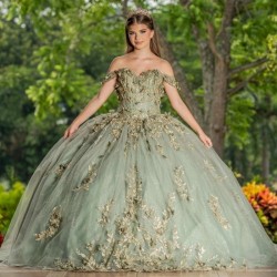 Sweetheart Sage Green Quinceanera Dress Floral Flowers Applique Lace Bead Princess Ball Gown Sweet 16 Party Vestidos 15 De XV An