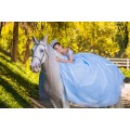 Cheap Quinceanera Dress