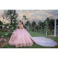 Pink Quinceanera Dress