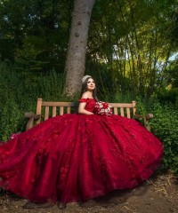 Red Quinceanera Dress